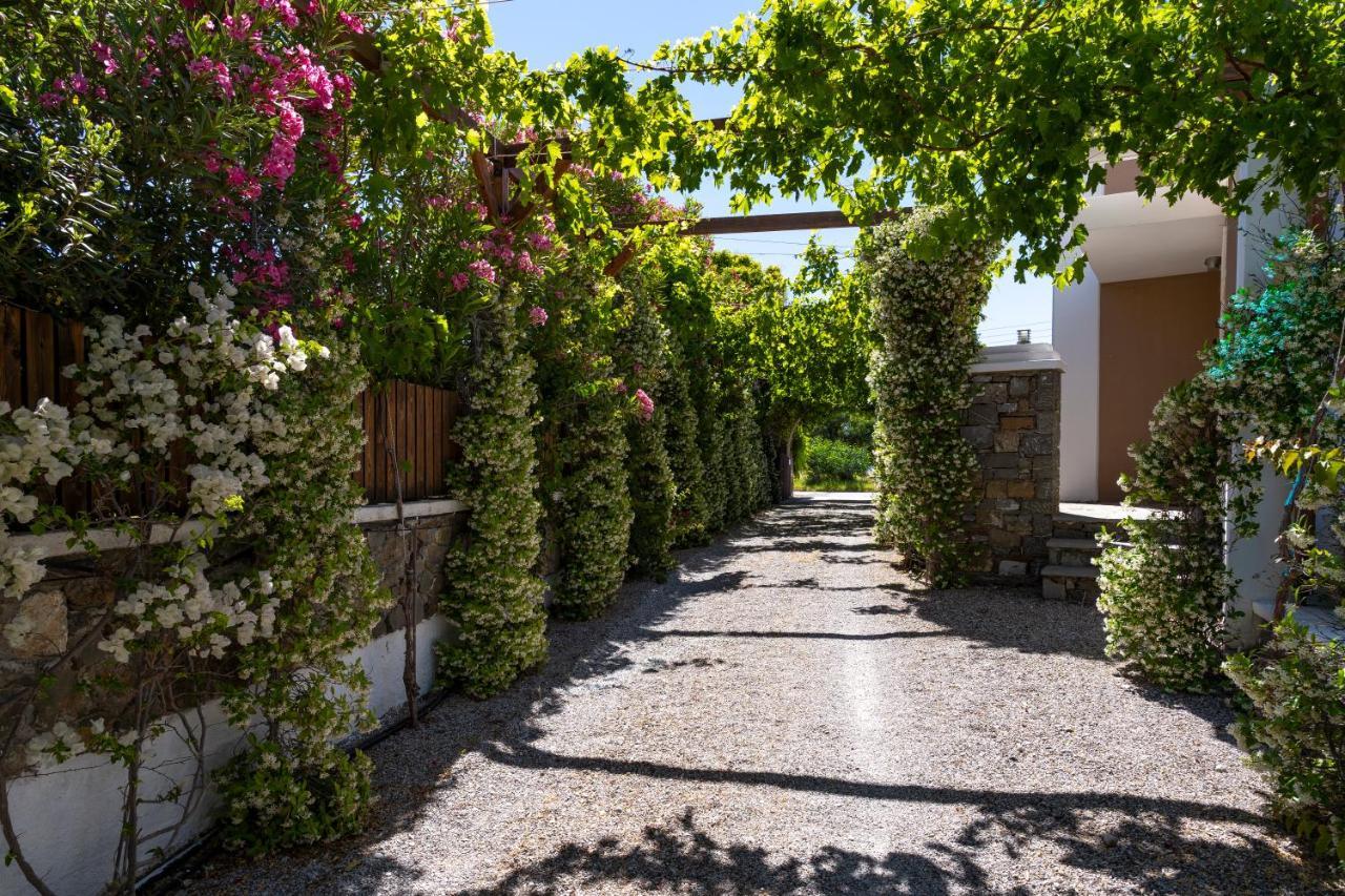 Horizon Line Villas Kiotari Exterior foto